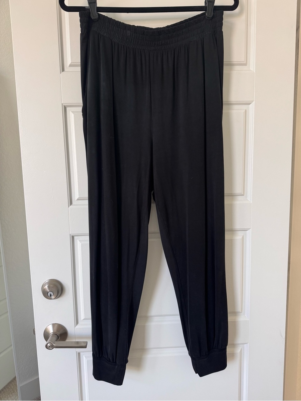 Dolan Left Coast Collection (Anthropologie) Cupro Jogger